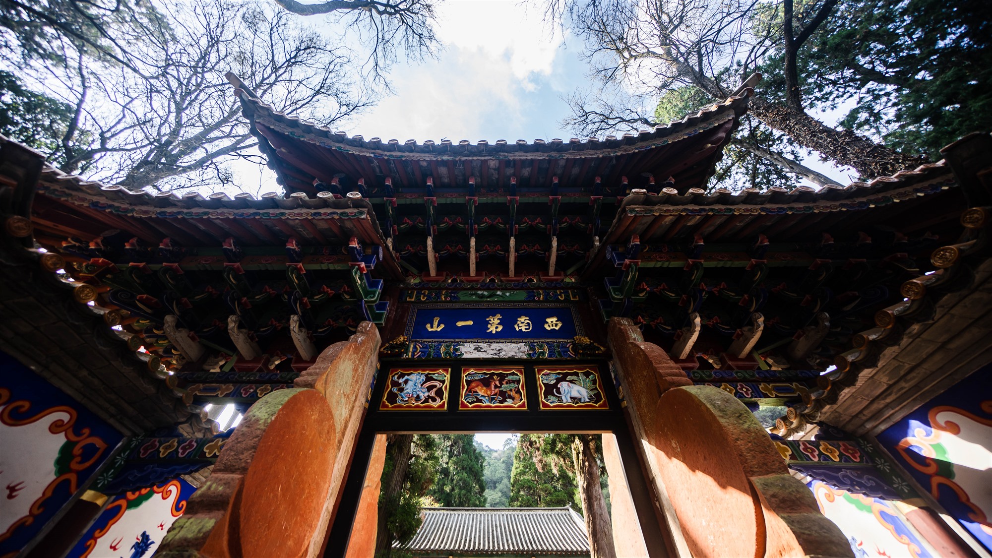 武定狮子山——花与人俱俏——禄丰市图书馆